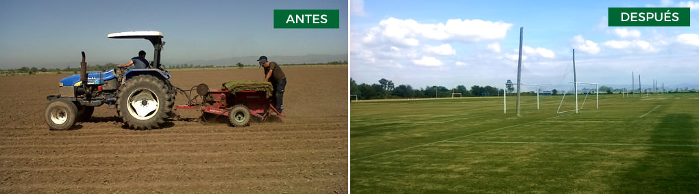 Row Planting en Córdoba